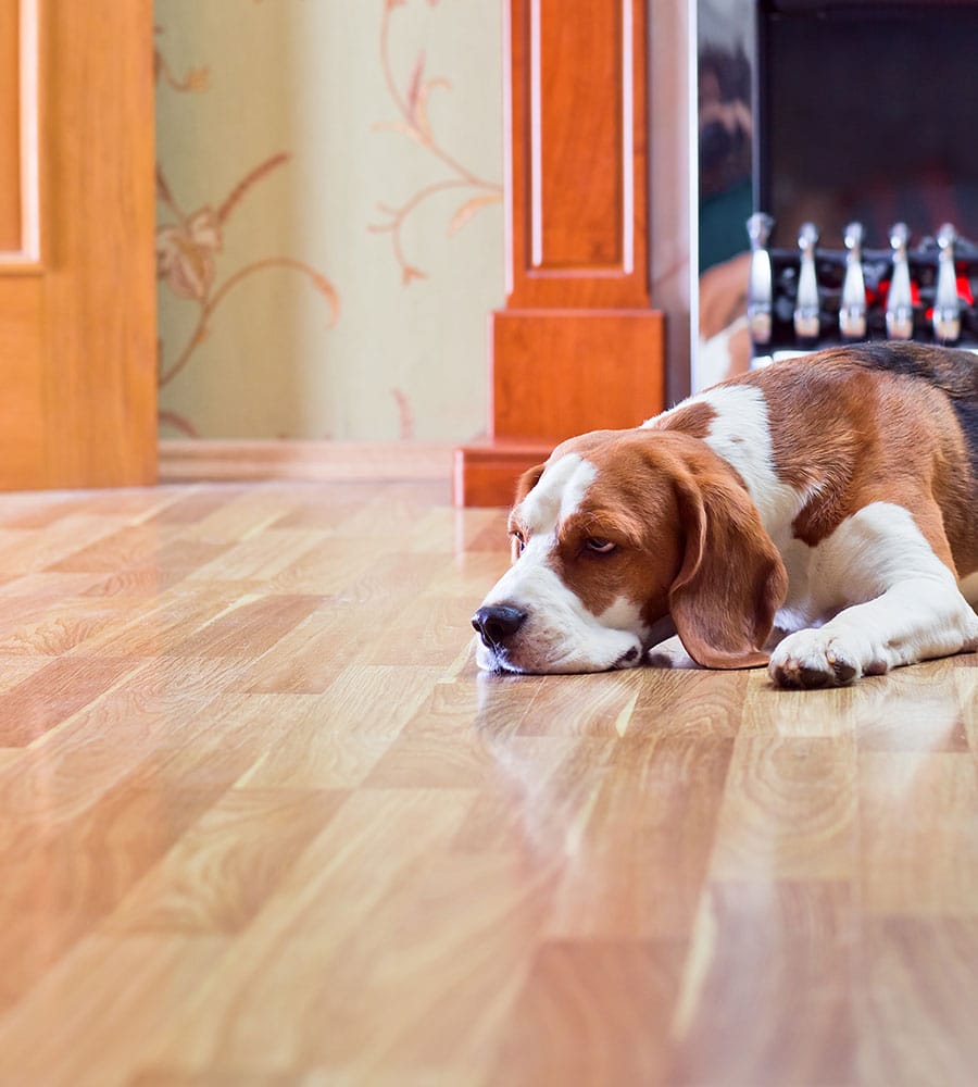 Get Floored Hardwood